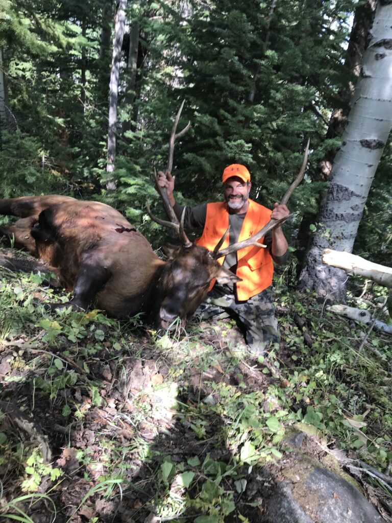Guided Elk Hunt