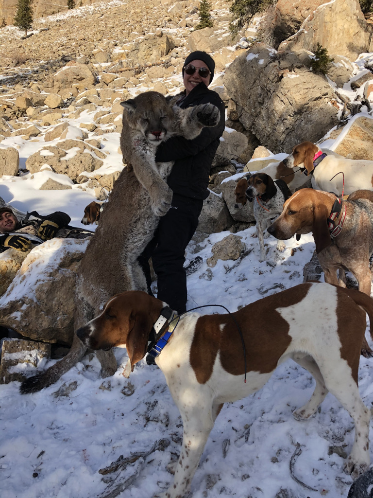Guided Mountain Lion Hunt